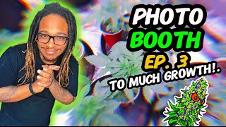 The Photo Booth S10 Ep. 3 | To Much Growth | 20 Plant Grow  | Veg Weeks 3 & 4 🌱