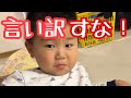 クワガタの世話をサボってる3歳児の言い訳