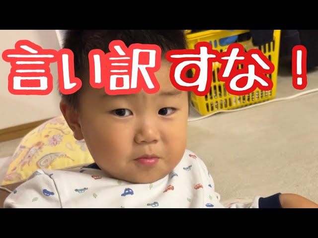 SUB) The excuses by a 3 year old who hasn't taken care of the stag