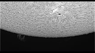 prominence：20201113-12 03 56  ( JST  )