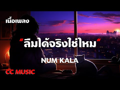 ลืมได้จริงใช่ไหม - NUM KALA - (เนื้อเพลง) #เพลงฮิตในtiktok