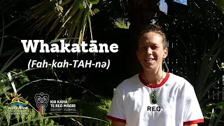 Te Wiki o Te Reo Māori | Maori Language Week 2020