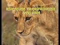 Kgalagadi 2024 Part 1