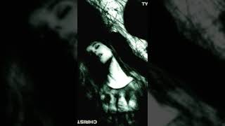 Gonna be working on my Type O Negative CD collection soon, a album ranking will follow.