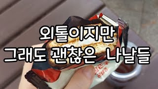 [브이로그#67] 방구석에서 벗어나보려는 40대 집순이/매일 혼자 노는 독거녀/비둘기와 친구하겠어/ 산책하며 알찬하루 보낸척하는 반백수/절약하는 짠순이