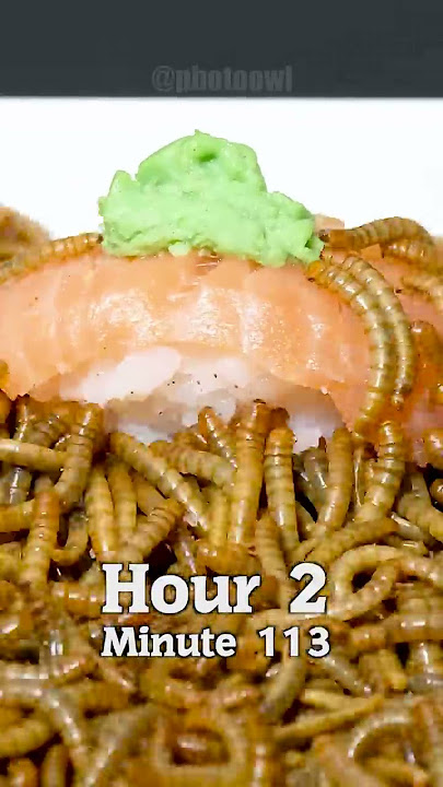 Spicy Wasabi on Sushi vs Mealworms