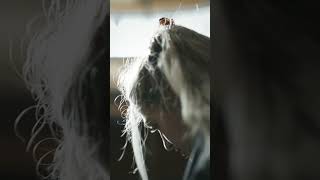 CHAMBONNIÈRES // 'Les Pièces de Clavessin, Livre 1: Allemande "La Rare" by Louise Acabo (Pt. 2)