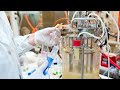 Biotechnology fermentation lec2