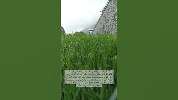 (أَفَمَن زُيِّنَ لَهُ سُوءُ عَمَلِهِ فَرَآهُ حَسَنًا )سورة فاطر الآية 8