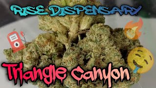#99 Triangle Canyon (Official Video Product Review) Rise Dispensary Product