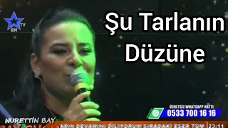 Aysel ASLANTEPE - Şu Tarlanın Düzüne (CANLI) Resimi