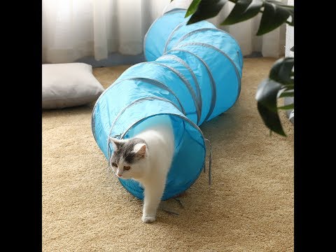 How to make your cat and S Shape cat tunnel play together happily- PAWZ Road