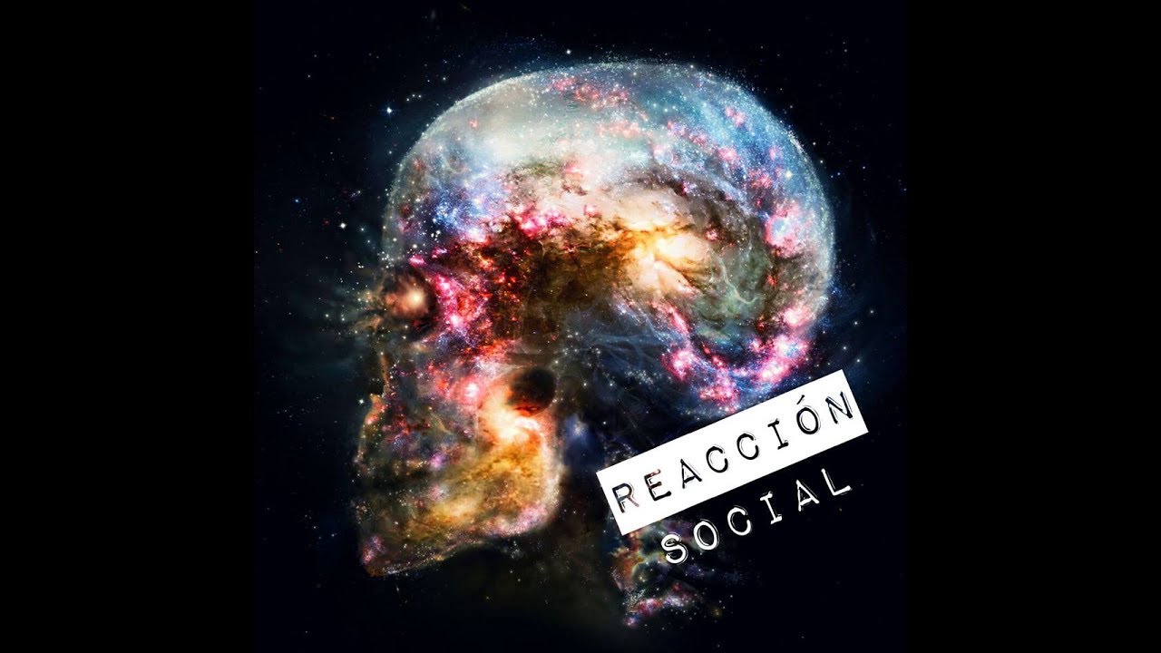 Reacción Social - Principios -