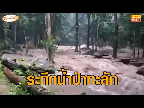 Flash floods hit the East: Emergency evacuation of bedridden patients, orchards devastated, touri...