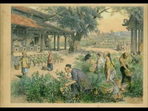 Tea Music - Chinese Olong