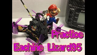 Eachine Lizard95 Practice