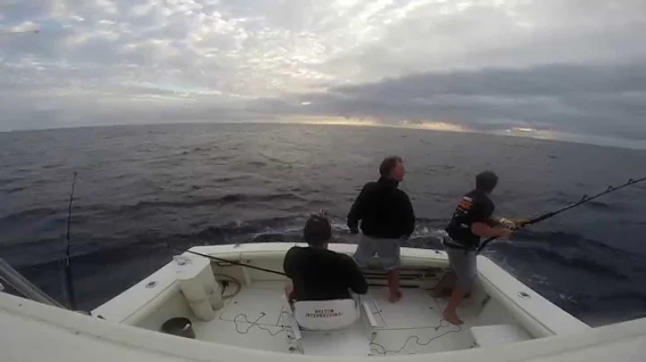 three kings double striped marlin nz