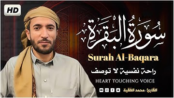 سورة البقرة تلاوة عذبة تبعث السكينة 💚😌 القارئ محمد الفقيه Mohamed AL Fakih