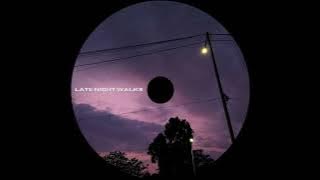 Teddy Vogel - Late Night Walks