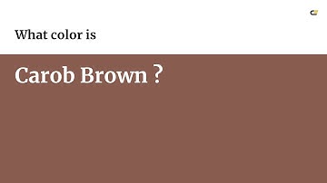 Carob Brown color #885c4e hex color - Brown color - Cool color 885c4e