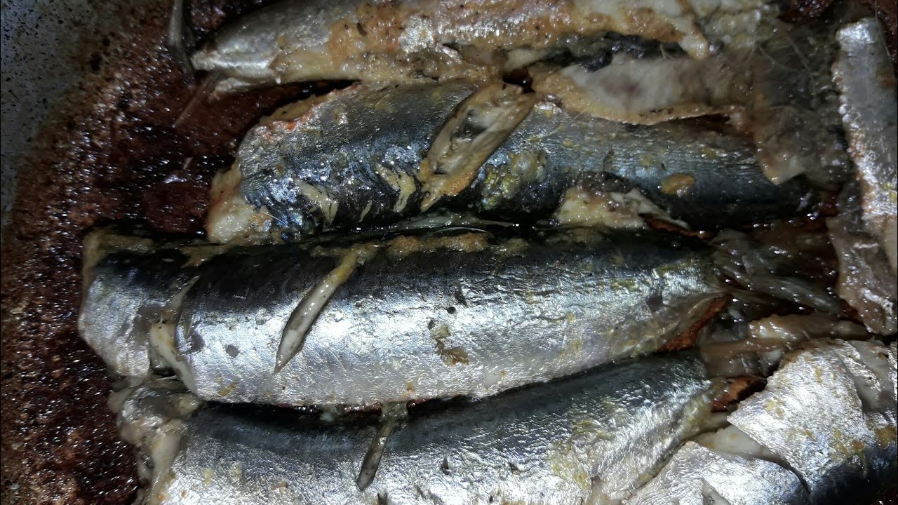 COMO FAZER SARDINHA EM LATA NA PANELA DE PRESSÃO( NO PONTO CERTO) YouTube