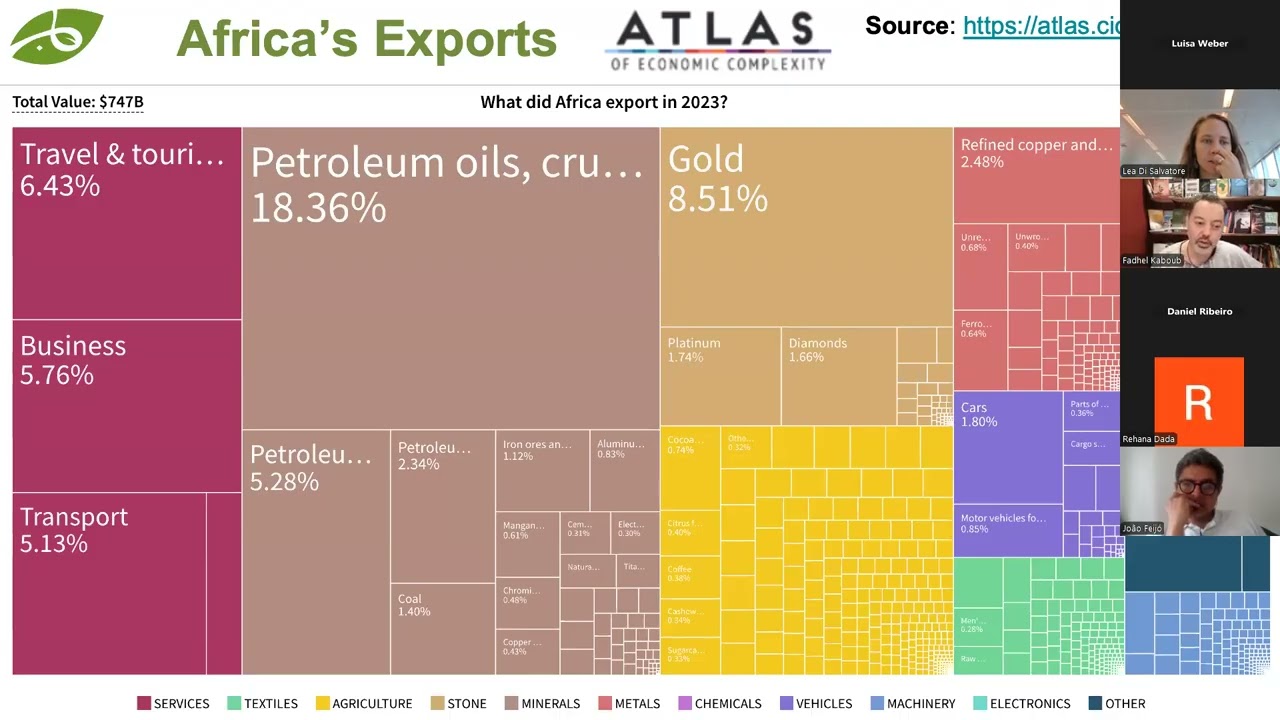 Investment Protection and Export Finance: Key Drivers of Fossil Fuel Development in Mozambique