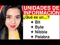 Unidades de Información ¿Qué es un BIT, BYTE, NIBBLE y PALABRA? (Explicación)