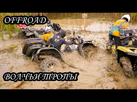 Offroad - Волчьи Тропы 2019| Тизер