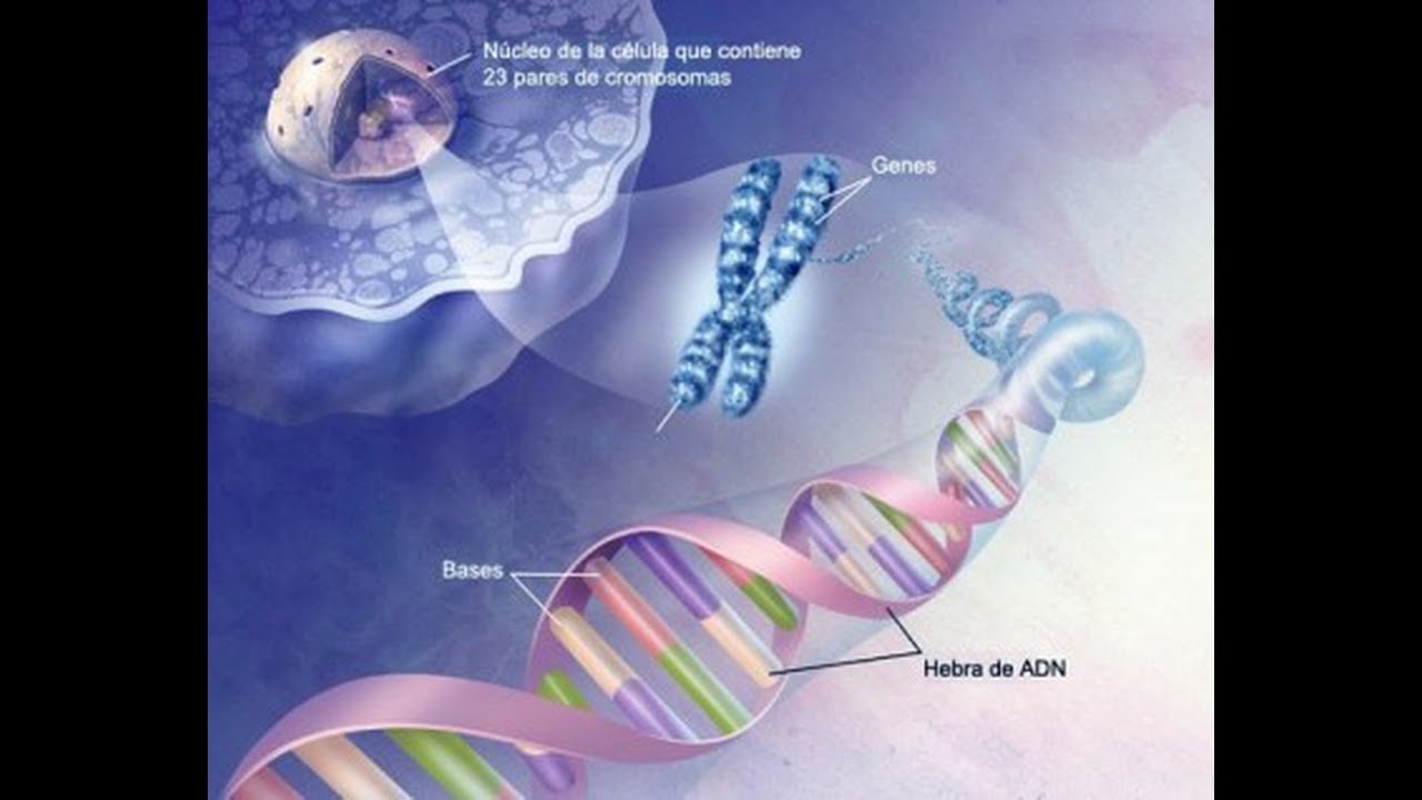 physical education LA METAMORFOSIS DEL ADN, EL GRAFENO Y 3 SOLES EN EL CIELO