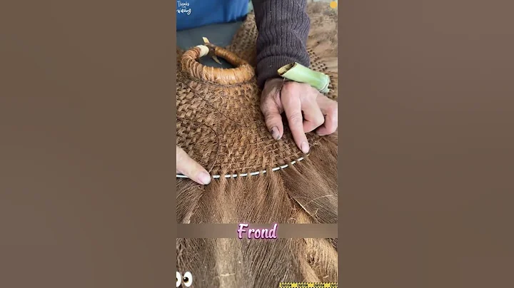 Palm Leaf Raincoat#shorts