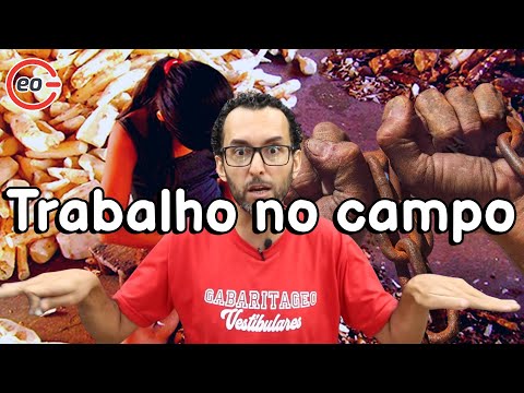 Vídeo: Qual o significado do trabalho de campo?