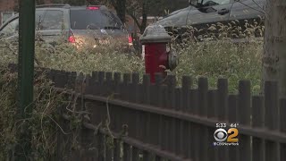Brooklyn Drivers Say Hidden Fire Hydrant Is Creating 'Ticket Trap'