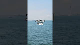 이제는 믿어 #조용필 #music #그래도돼 #힘이되는노래 #7080 #korea #바다