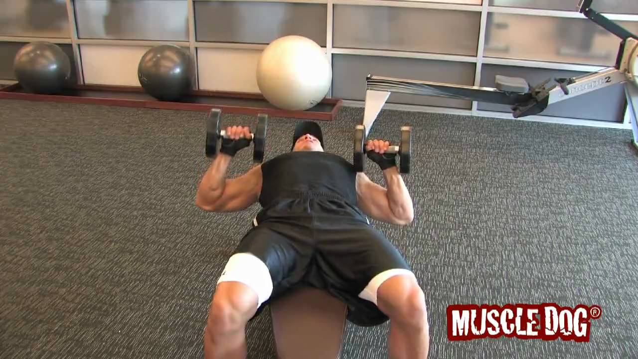 Muscledog Com Presents One Arm Dumbbell Flat Bench Press Youtube