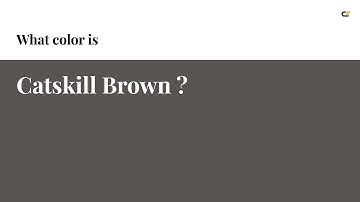 Catskill Brown color #595452 hex color - Grey color - Cool color 595452