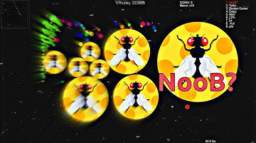 Fly Skin=Noob? | Blob.io Macro