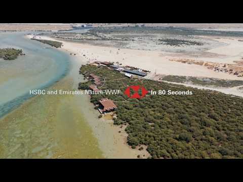 HSBC and Emirates Nature WWF | In 80 Seconds