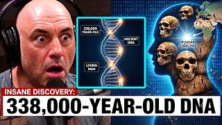 338,000-Year-Old DNA Found in a Living Man Just Rewrote Human History
