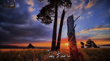 تلاوة هادئة تفيض جمالاً أرِح بها قلبك / الشيخ ناصر القطامي