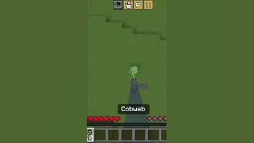 slime block + cobweb#minecraft #mlg#clutch#gaming