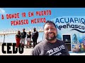 Video de Puerto Peñasco