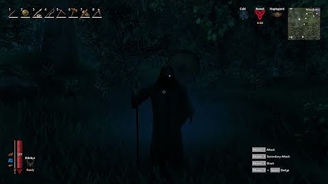 Valheim - When you see the ghost (Odin) for the first time