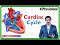 The Cardiac Cycle Animation