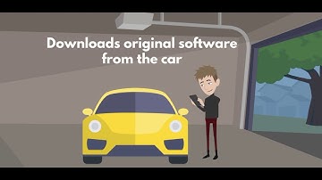 Lion Chiptuning Files how it works