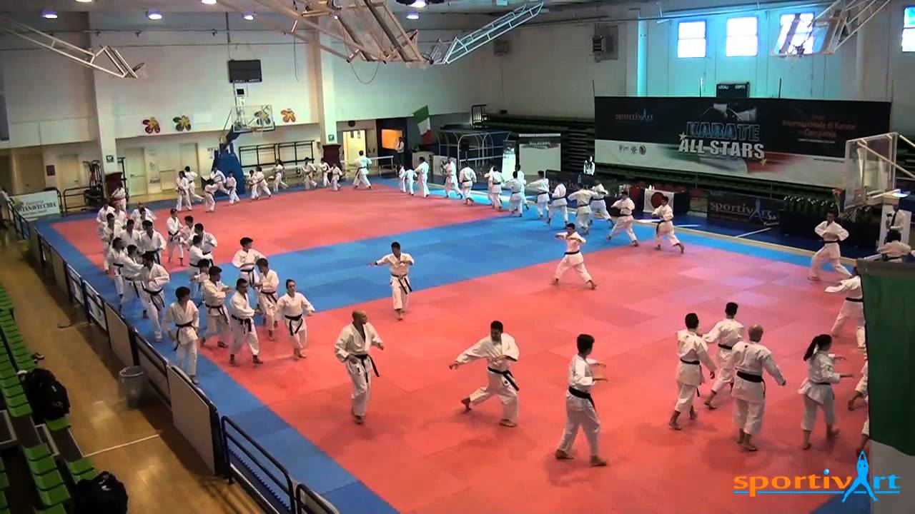 Karate All Stars 2014 YouTube