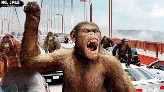 تجربة علمية تجعل القردة أذكياء😱 فقرروا محاربة البشر ليحصلون على حريتهم😰||ملخص🎦1️⃣ 𝐏𝐥𝐚𝐧𝐞𝐭 𝐎𝐟 𝐓𝐡𝐞 𝐀𝐩𝐞𝐬