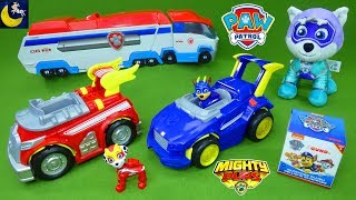 LOTS of NEW Paw Patrol Mighty Pups Super Paws Toys Paw Patroller Everest Surprise Blind Bags Toys