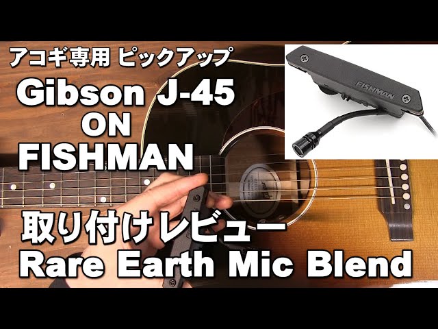 大注目】 FISHMAN RARE EARTH BLEND 外付けピックアップ - PC/タブレット