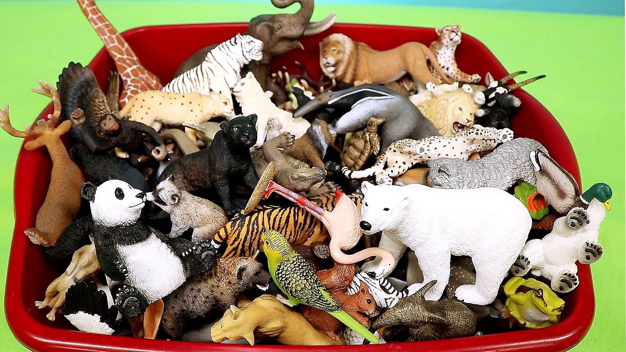 Wild Animal Figurines - Learn Animal Names 