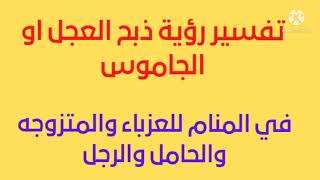 تفسير رؤية ذبح العجل او الجاموس فى المنام للعزباء والمتزوجه والحامل والرجل